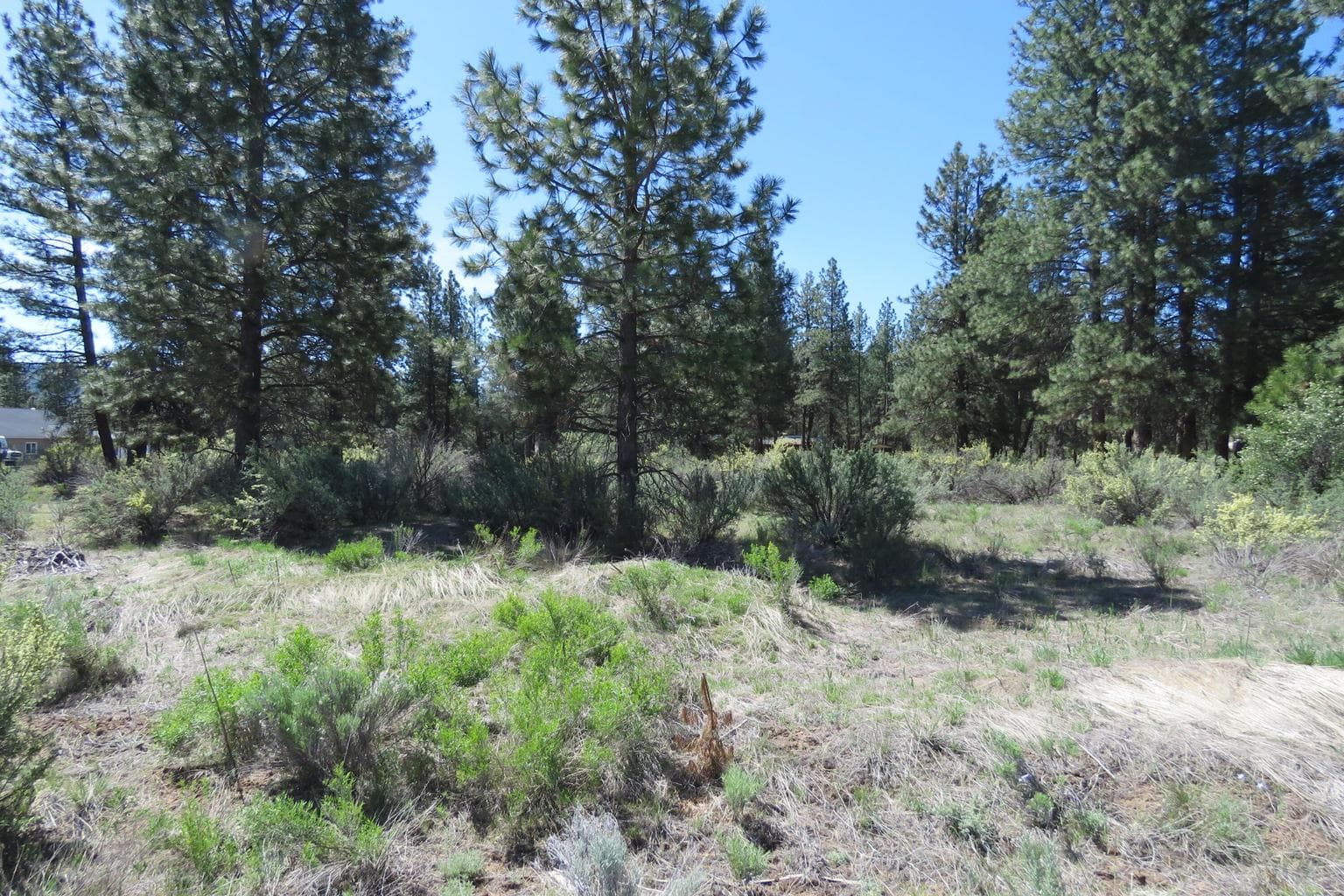 Photo of Castle Dr Lot 10 5 of 12