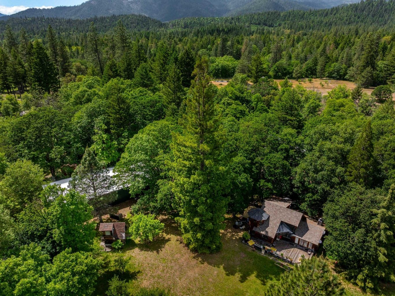 Photo of 1001 Indian Creek 3 of 50