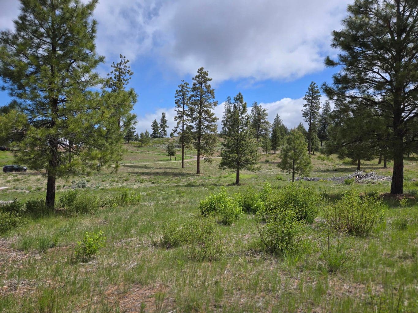 Ranch