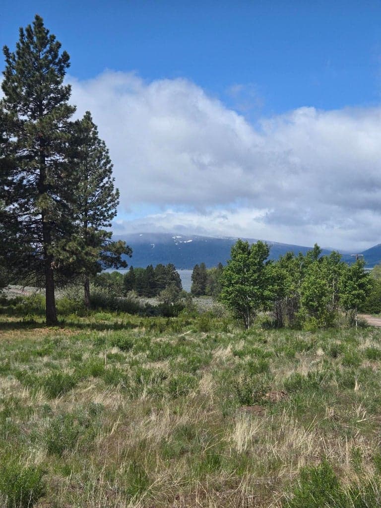 Photo of Ranch 2 of 13