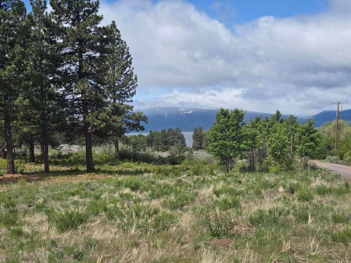 Photo of Ranch 3 of 13