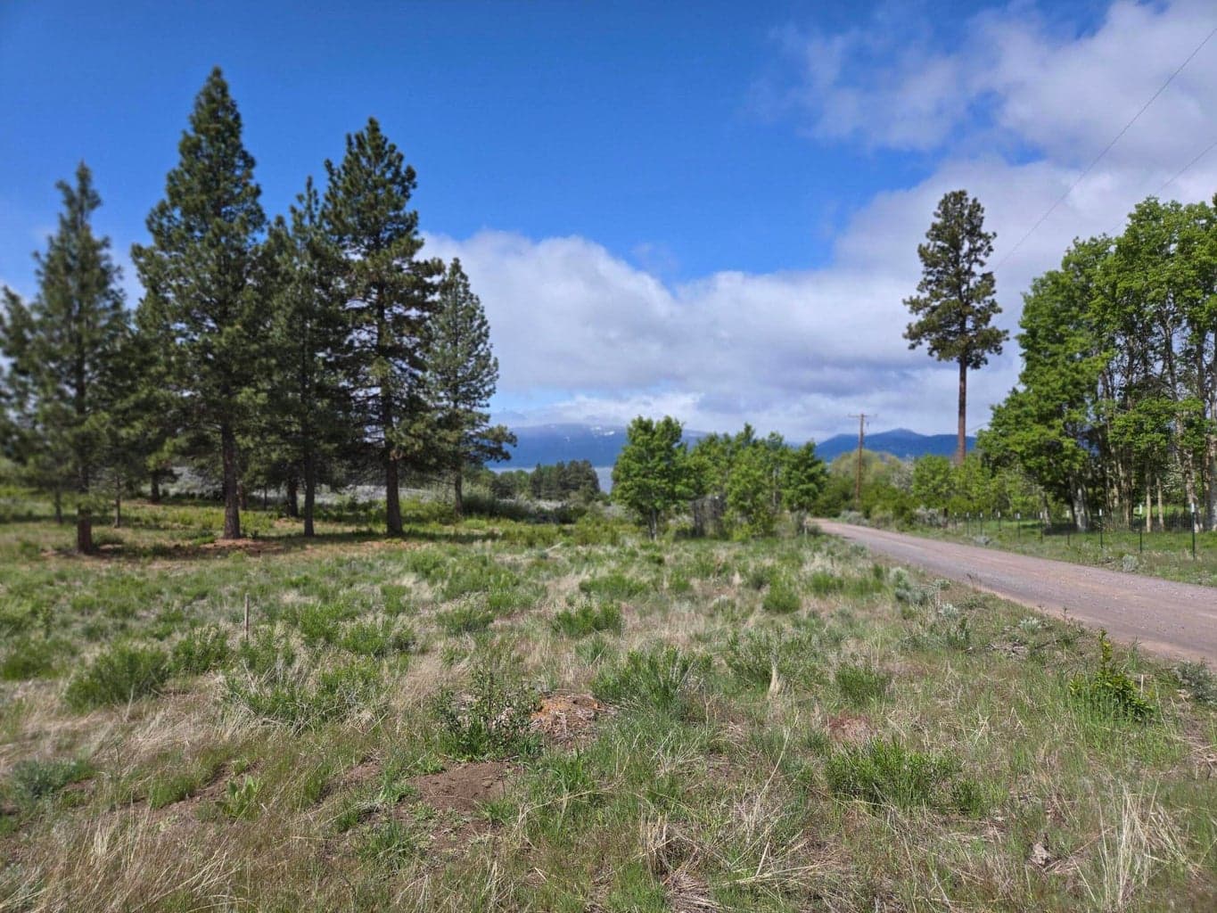 Photo of Ranch 4 of 13
