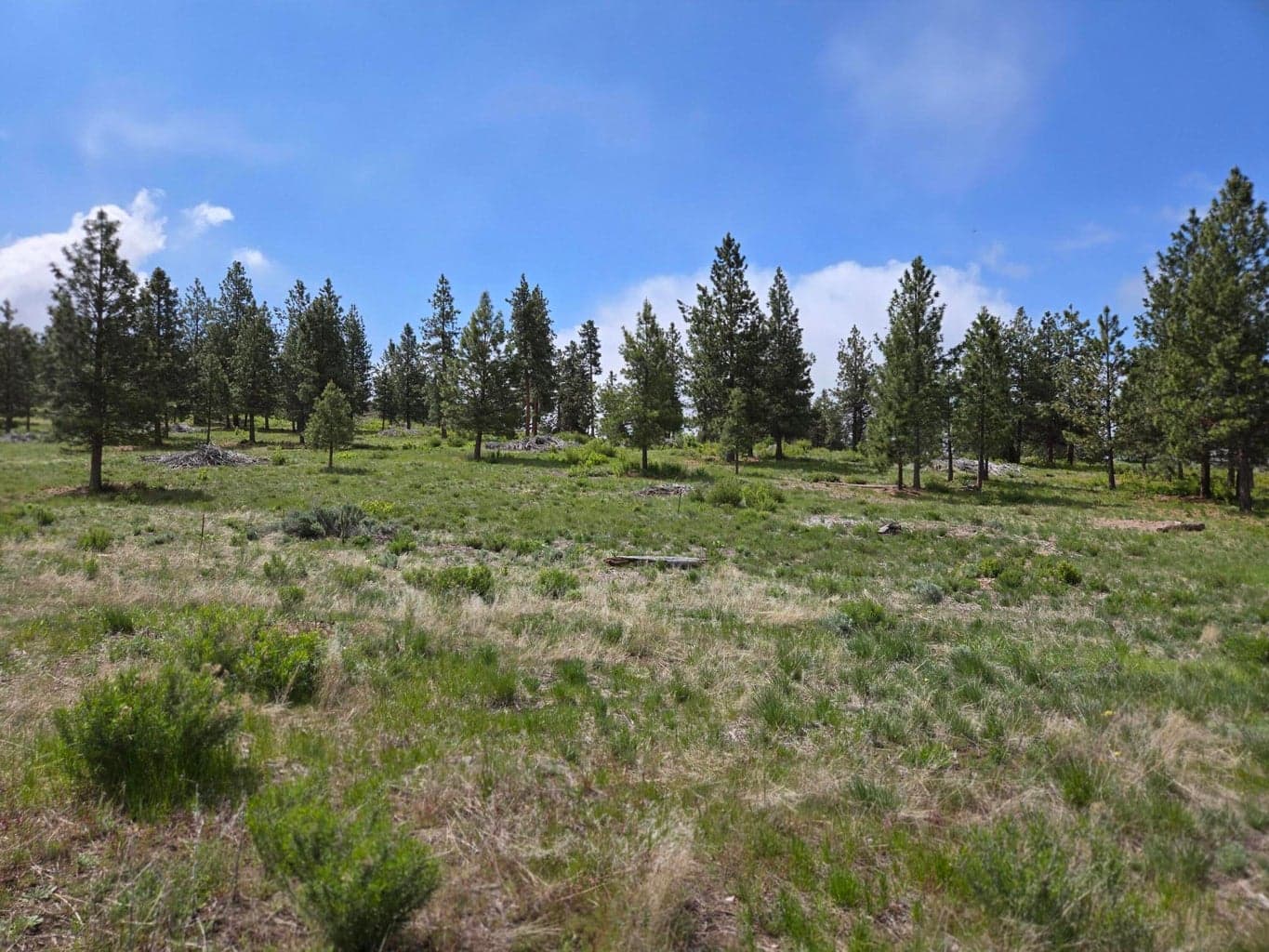 Photo of Ranch 5 of 13