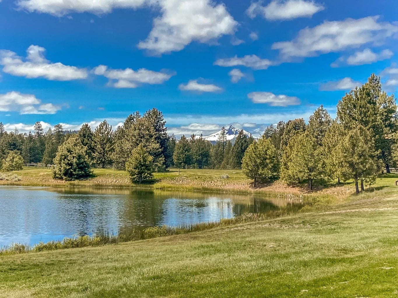 Photo of 70365 Brooks Scanlon Logging Road 6 of 93