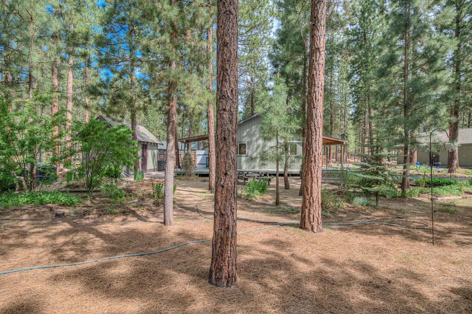Photo of 15357 Ponderosa Loop 9 of 40