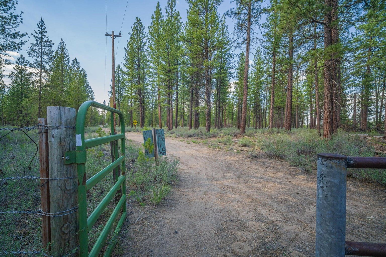 Welcome to La Pine State Park
