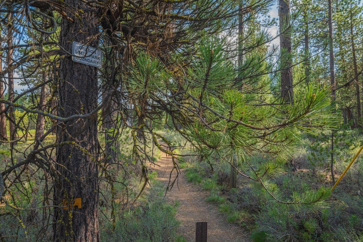 Hiking trail to McGregor ...