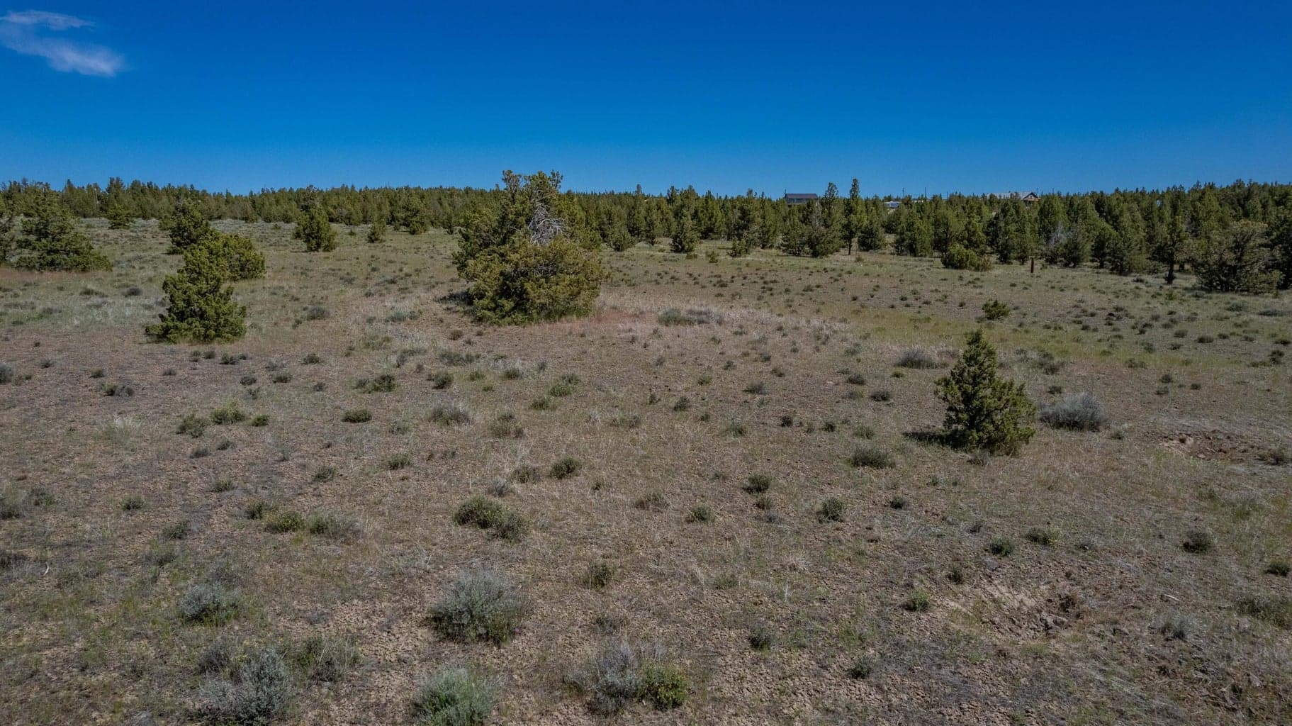 Photo of SE Coyote Lane 11 of 20