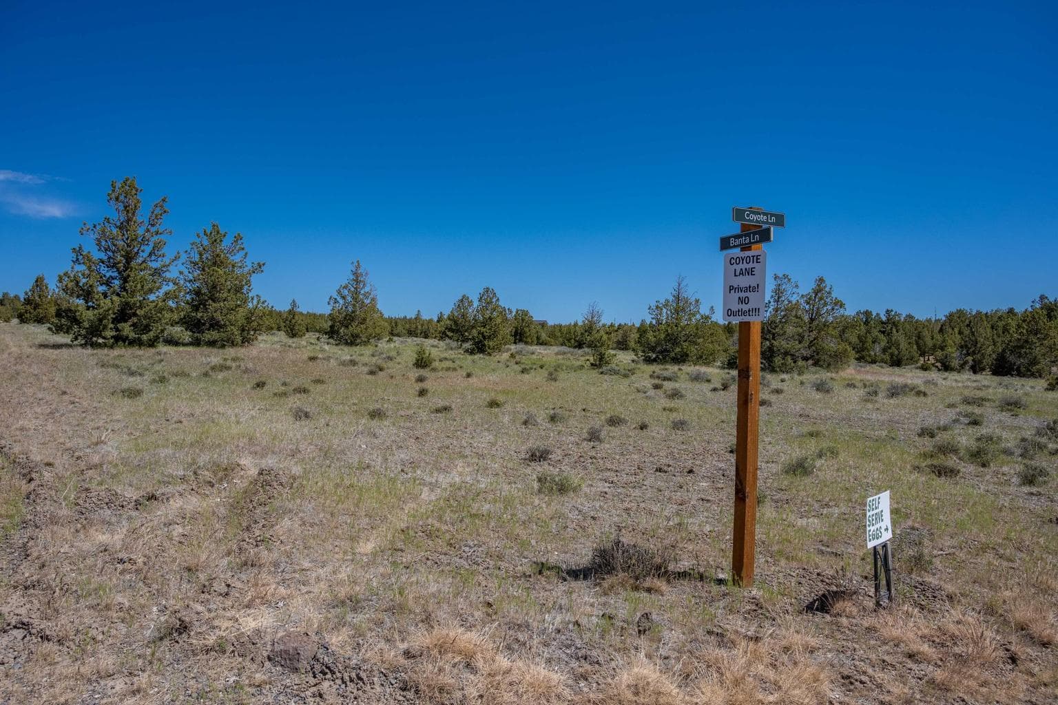 Photo of SE Coyote Lane 13 of 20