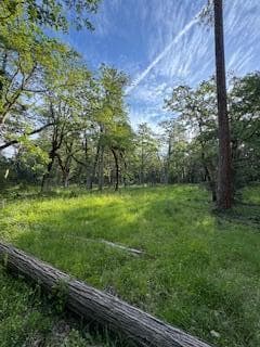 Photo of 36435 Ditch Creek 5 of 12