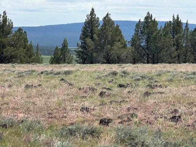 Photo of Rim Drive 2 of 6