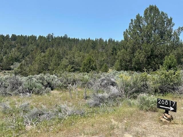 Photo of Lassen Street 2 of 3