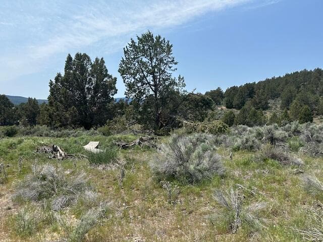 Photo of Lassen Street 3 of 3
