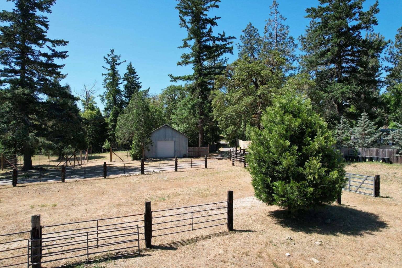 Photo of 199 Powell Creek 4 of 57