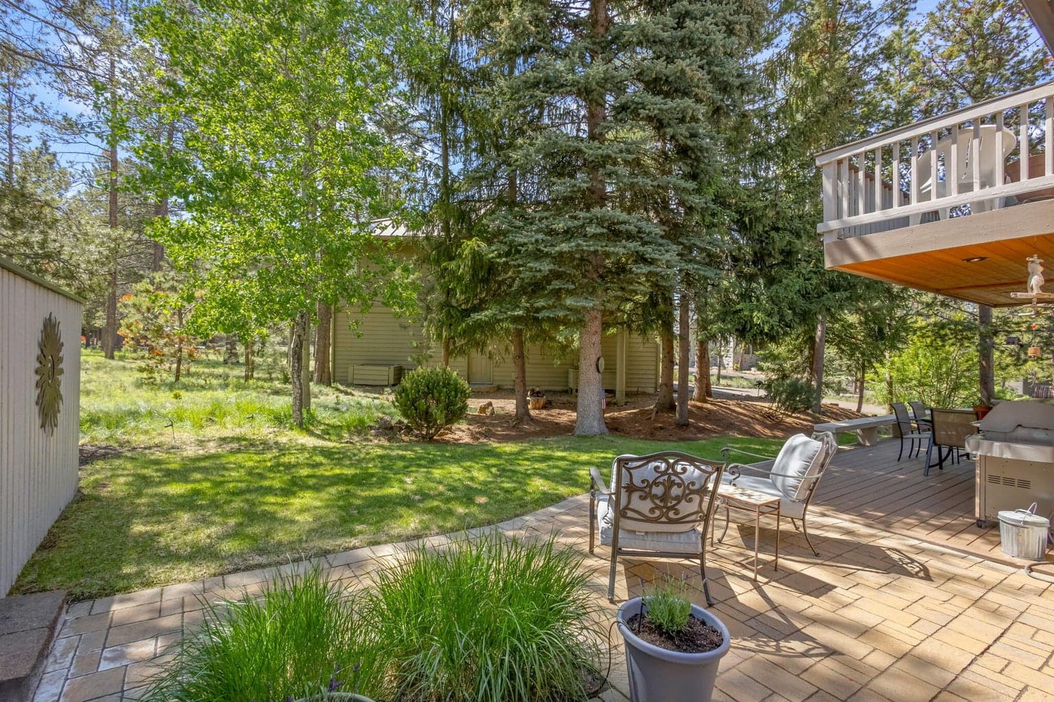 Back yard