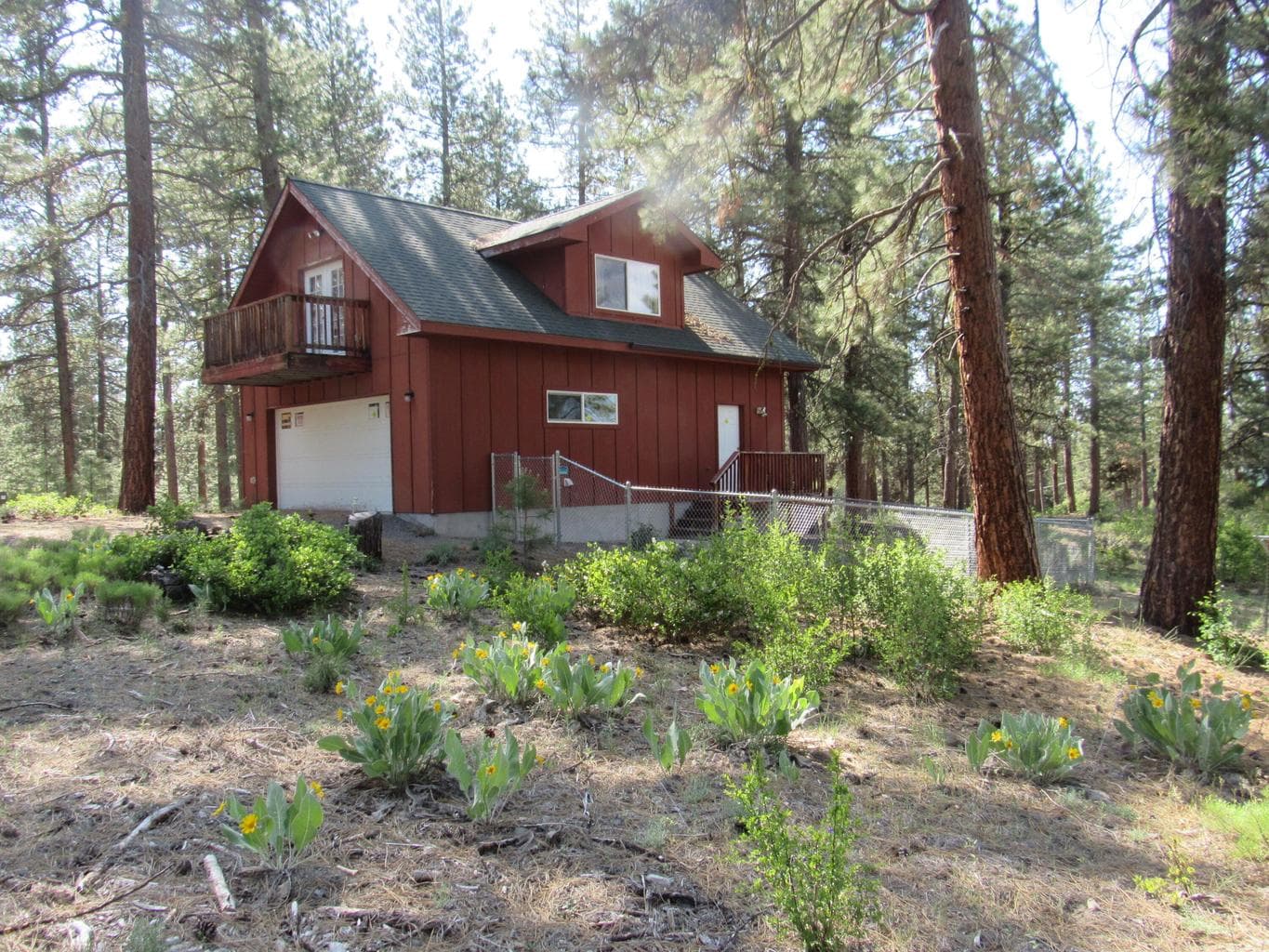 Cozy cabin in the woods
