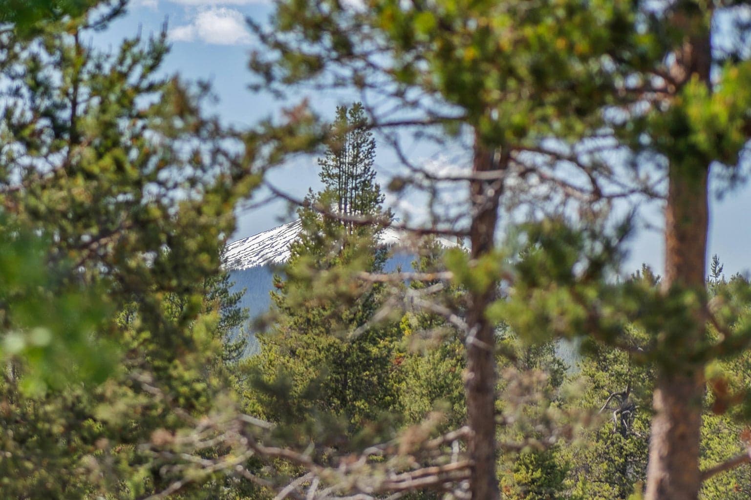 Peek-a-boo Mt. Bachelor view from Primary bedroom.