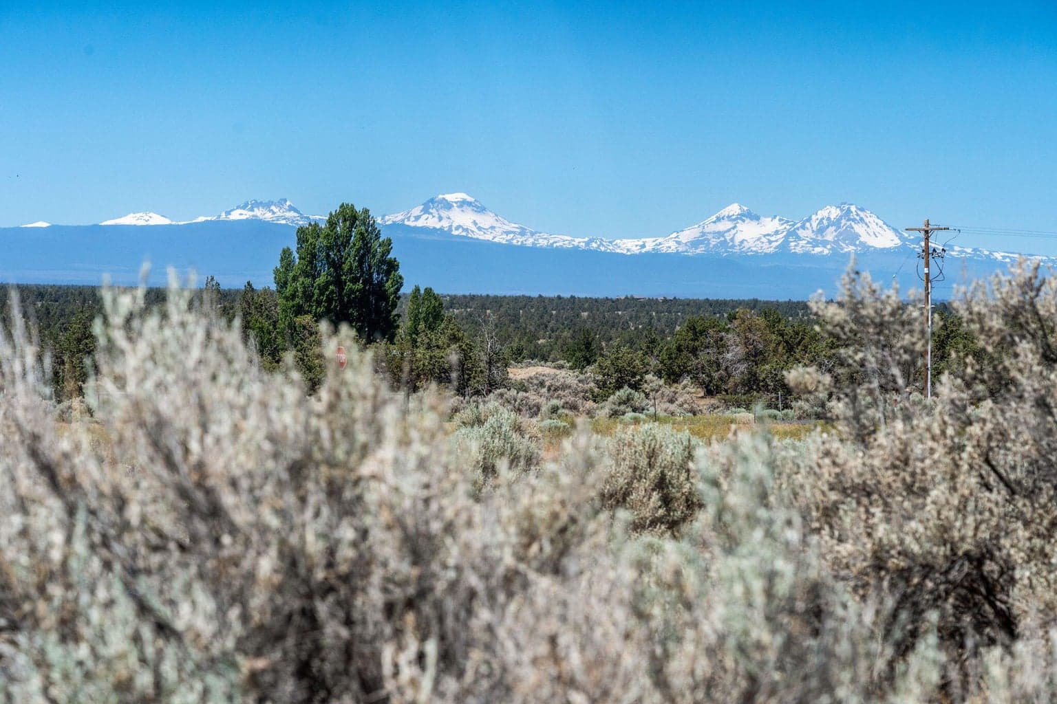 Native brush and a clear view toward the distant Cascade Mountain range.