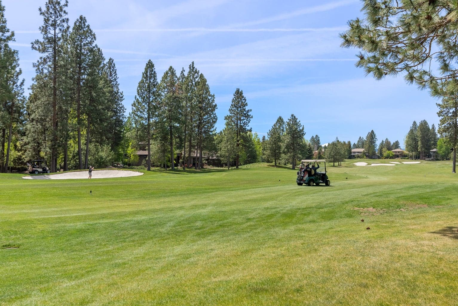 Photo of 19365 Soda Springs Drive 51 of 59