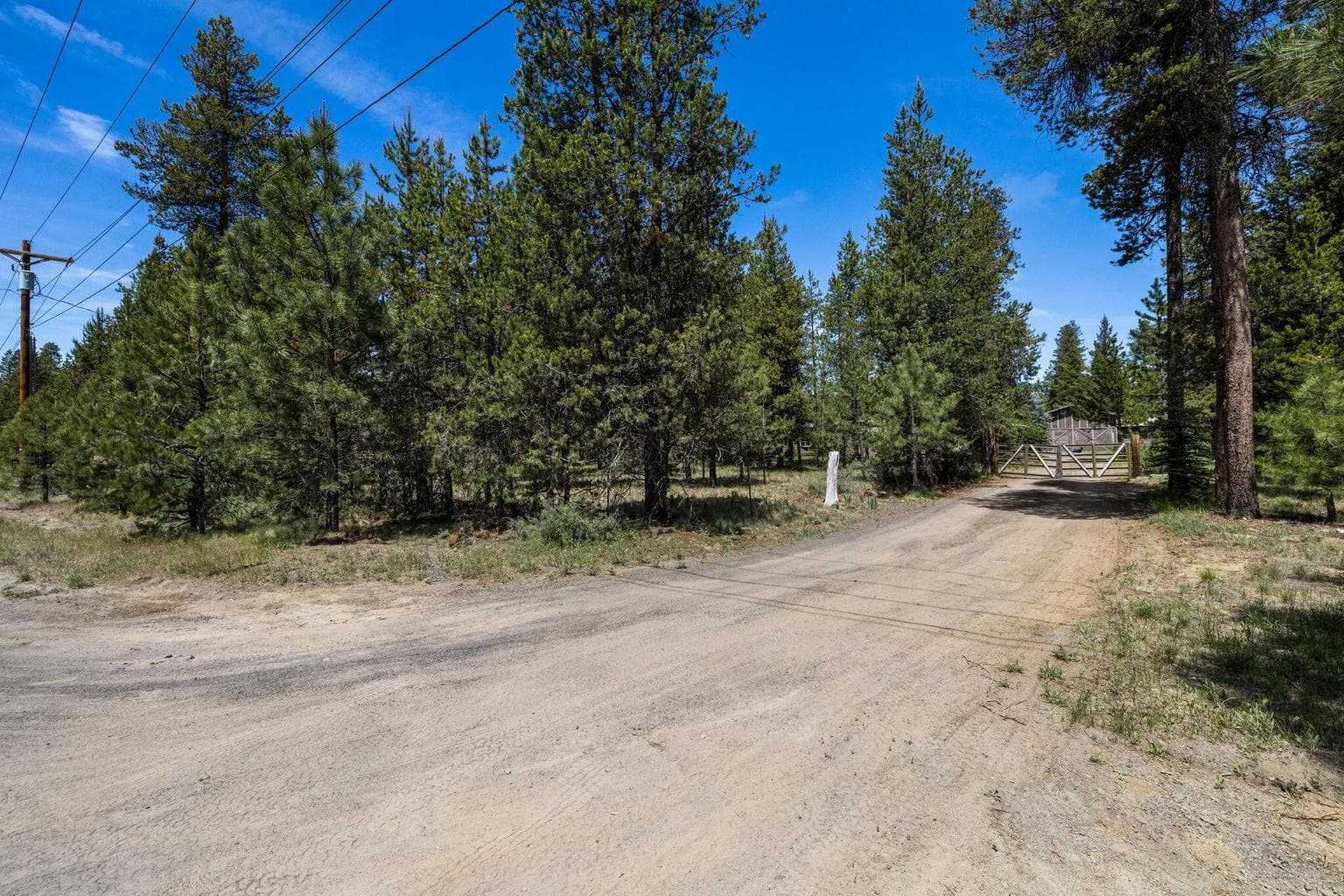 property from driveway at road; lots of trees for privacy