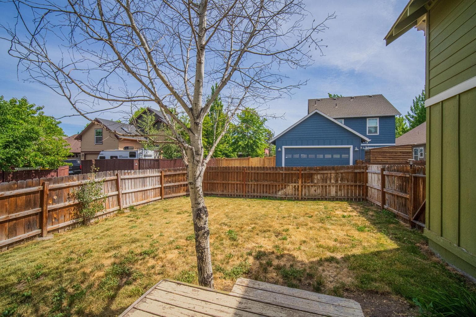 Backyard 1