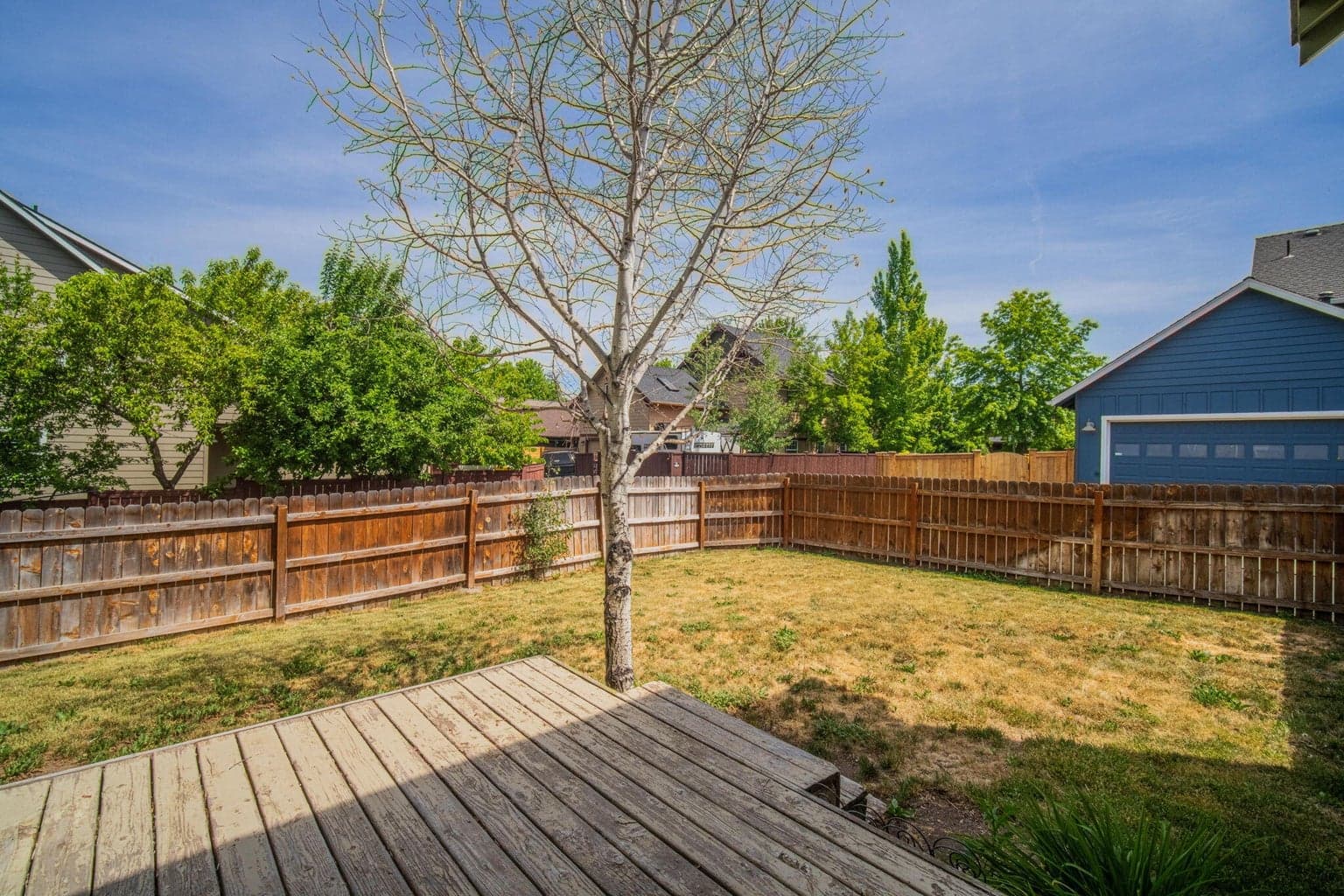 Backyard 2