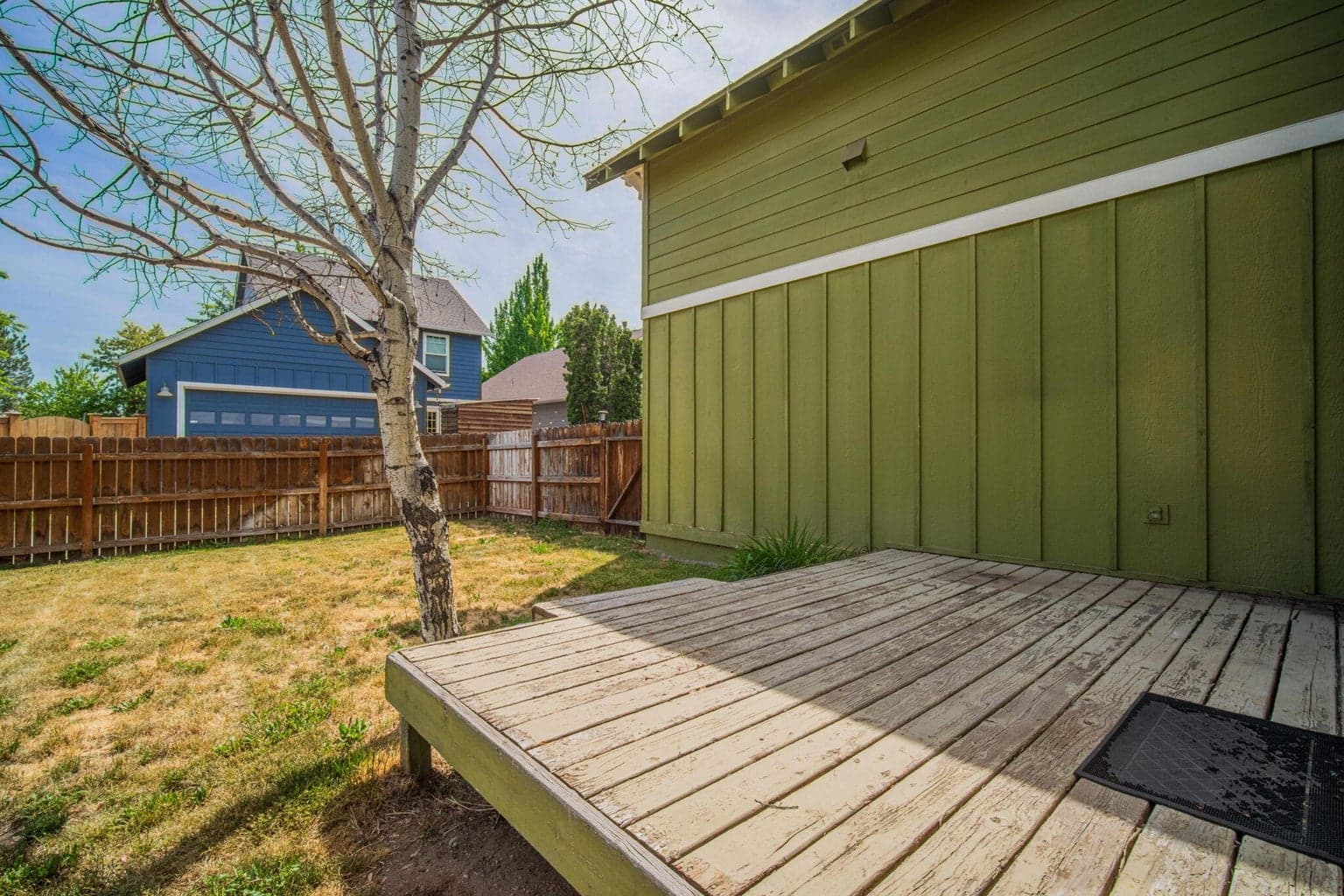 Backyard 3