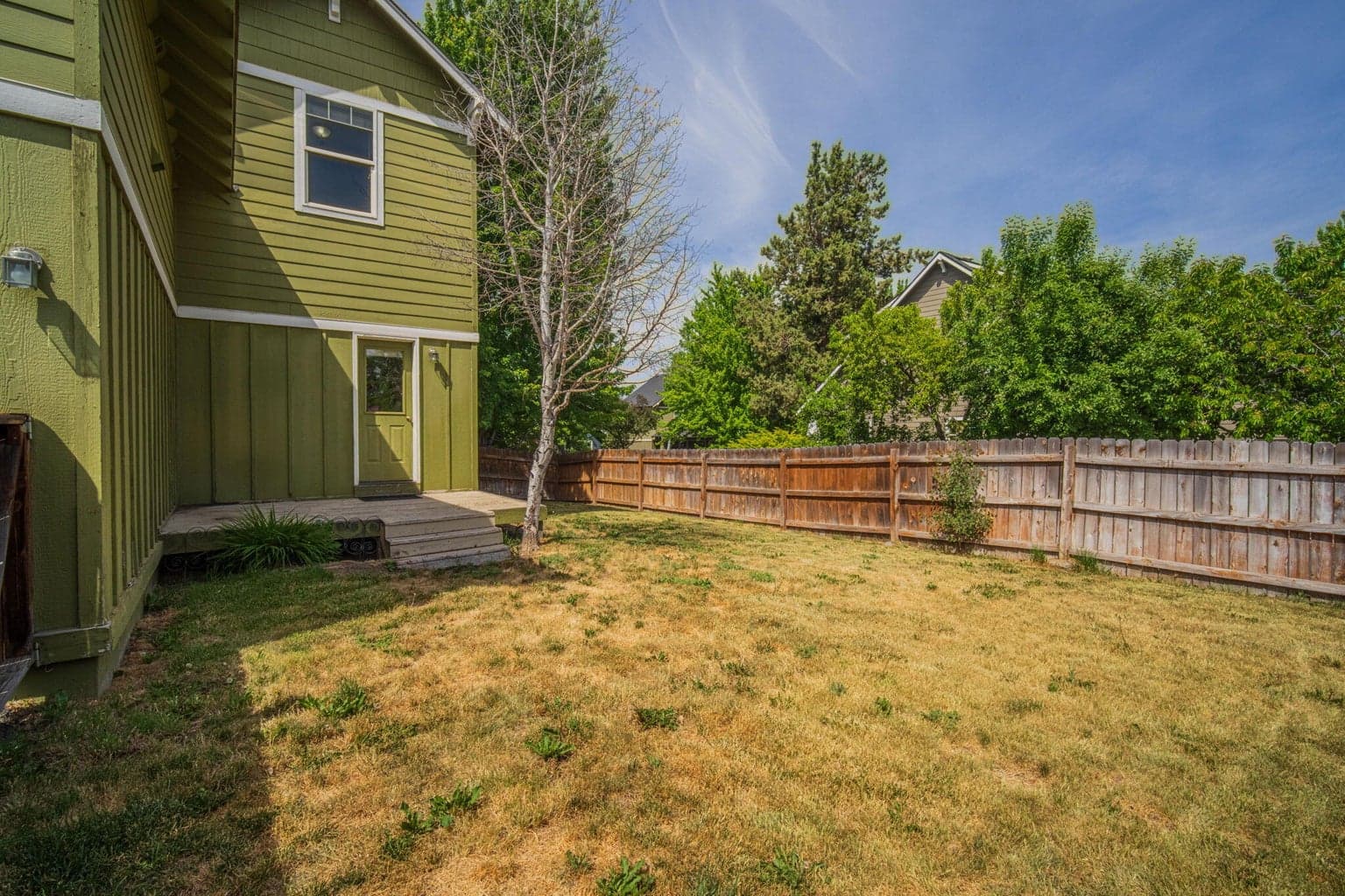 Backyard 5