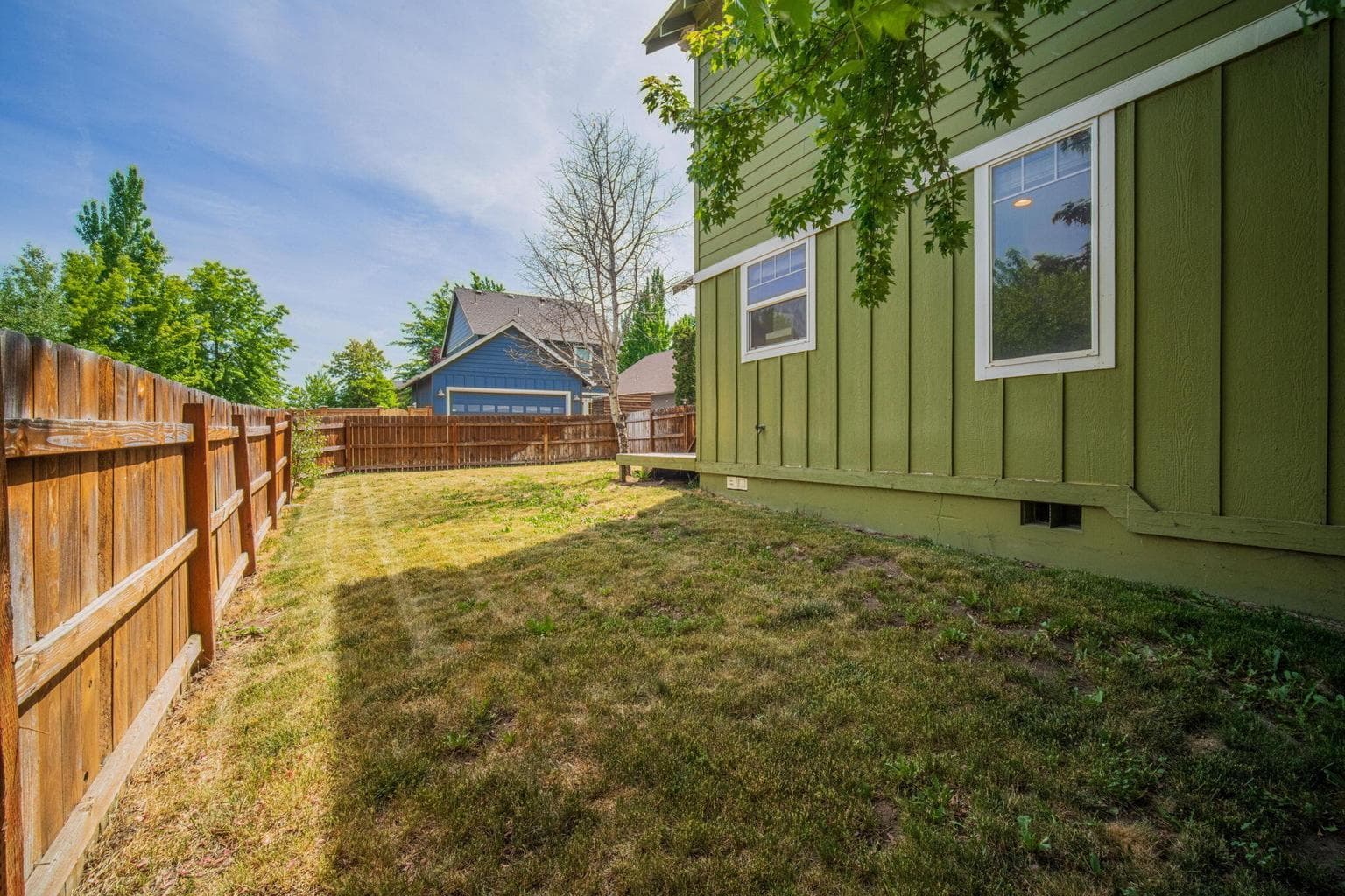 Backyard 7