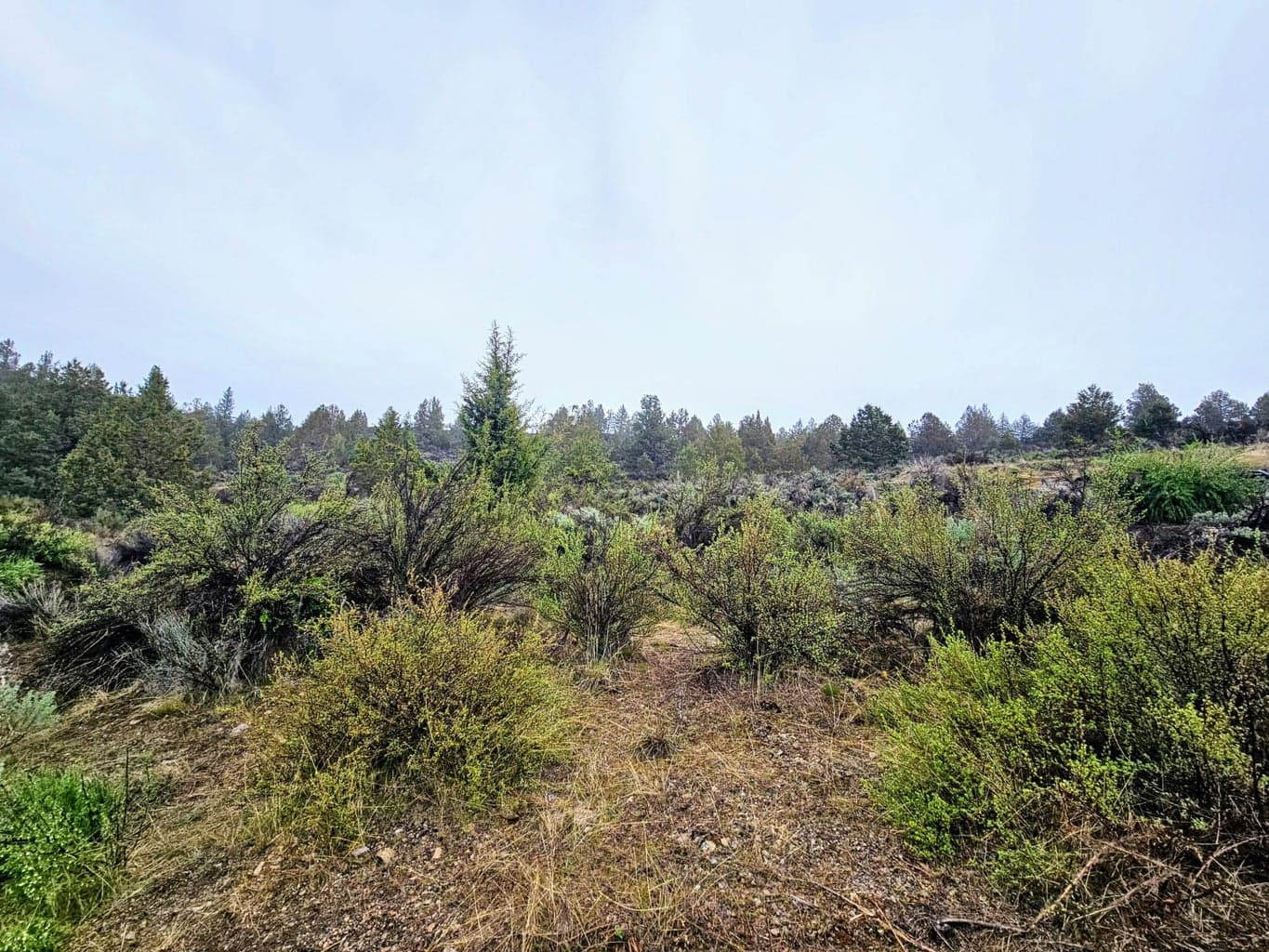 Lot 78 Mason, Sprague River, 97639