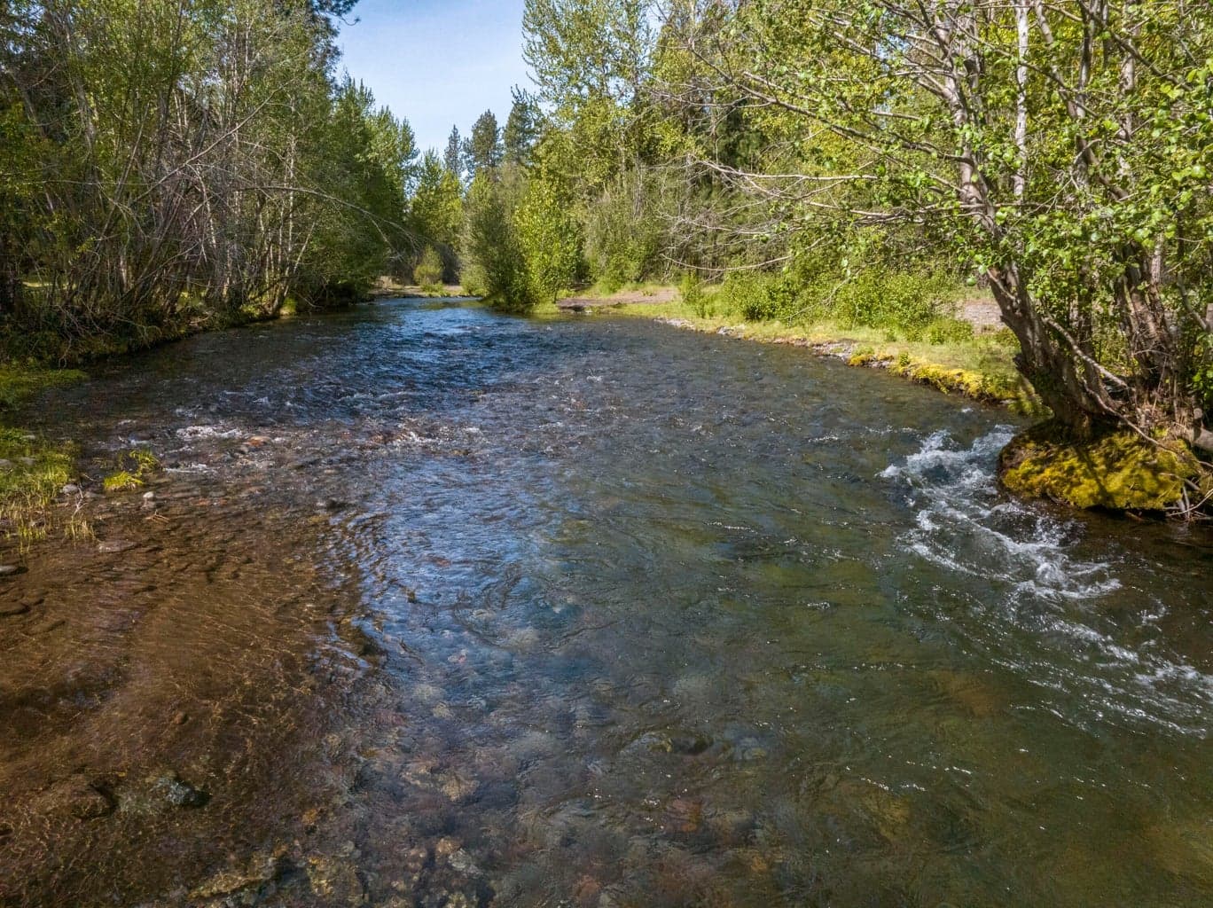 Photo of 935 E Creek View Drive 29 of 32