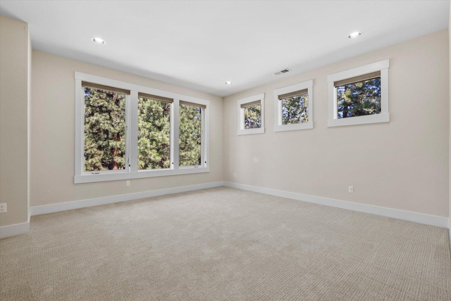 Large versatile Bonus Room