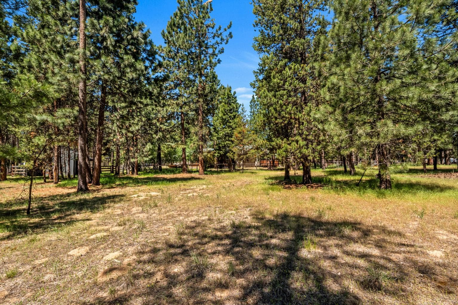 Photo of 15777 Sheila Way 36 of 41