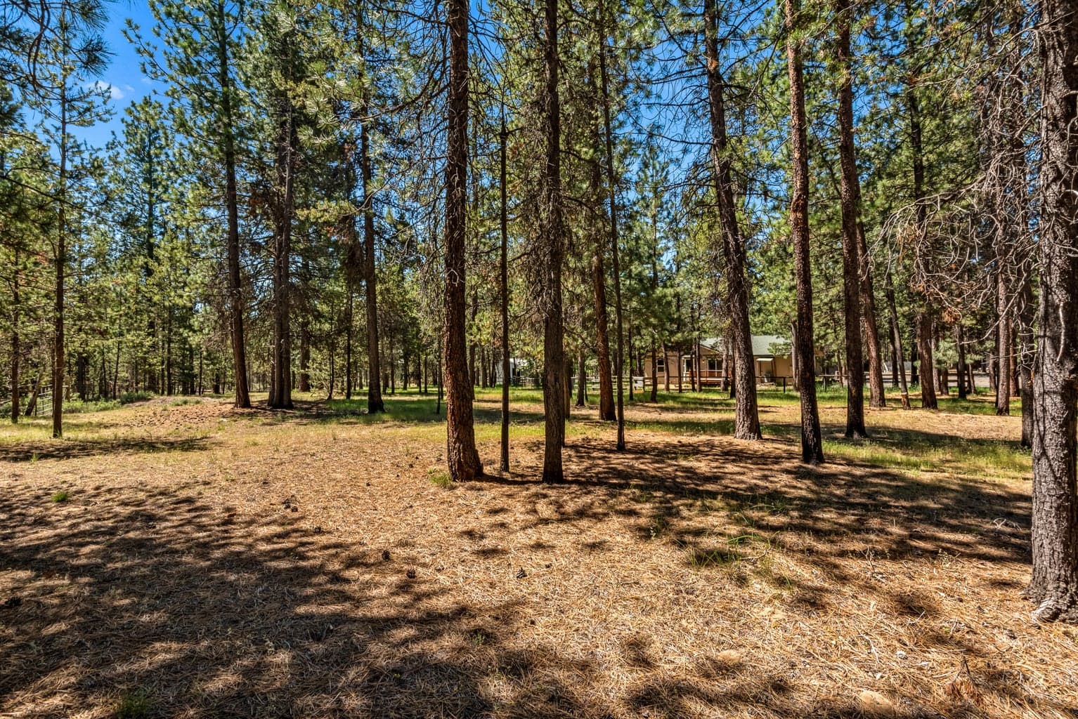 Photo of 15777 Sheila Way 37 of 41