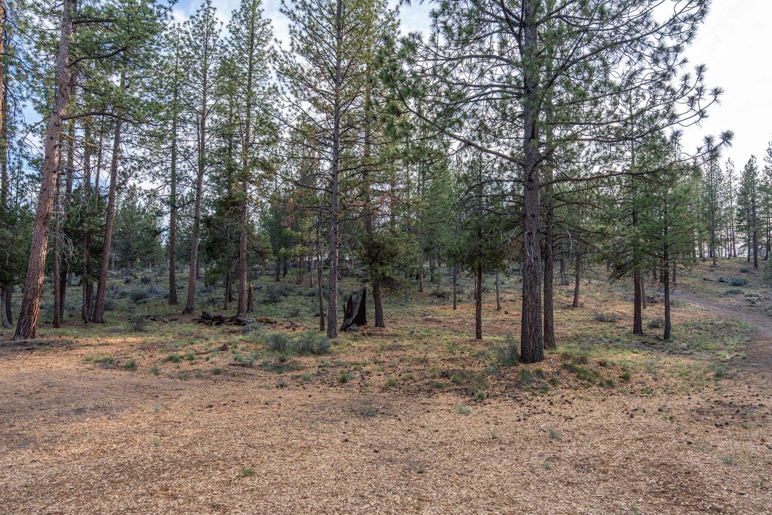 Photo of 62987 Levins Lane 6 of 23