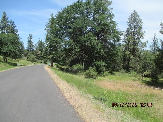 Photo of 0 Coopers Hawk 4 of 8