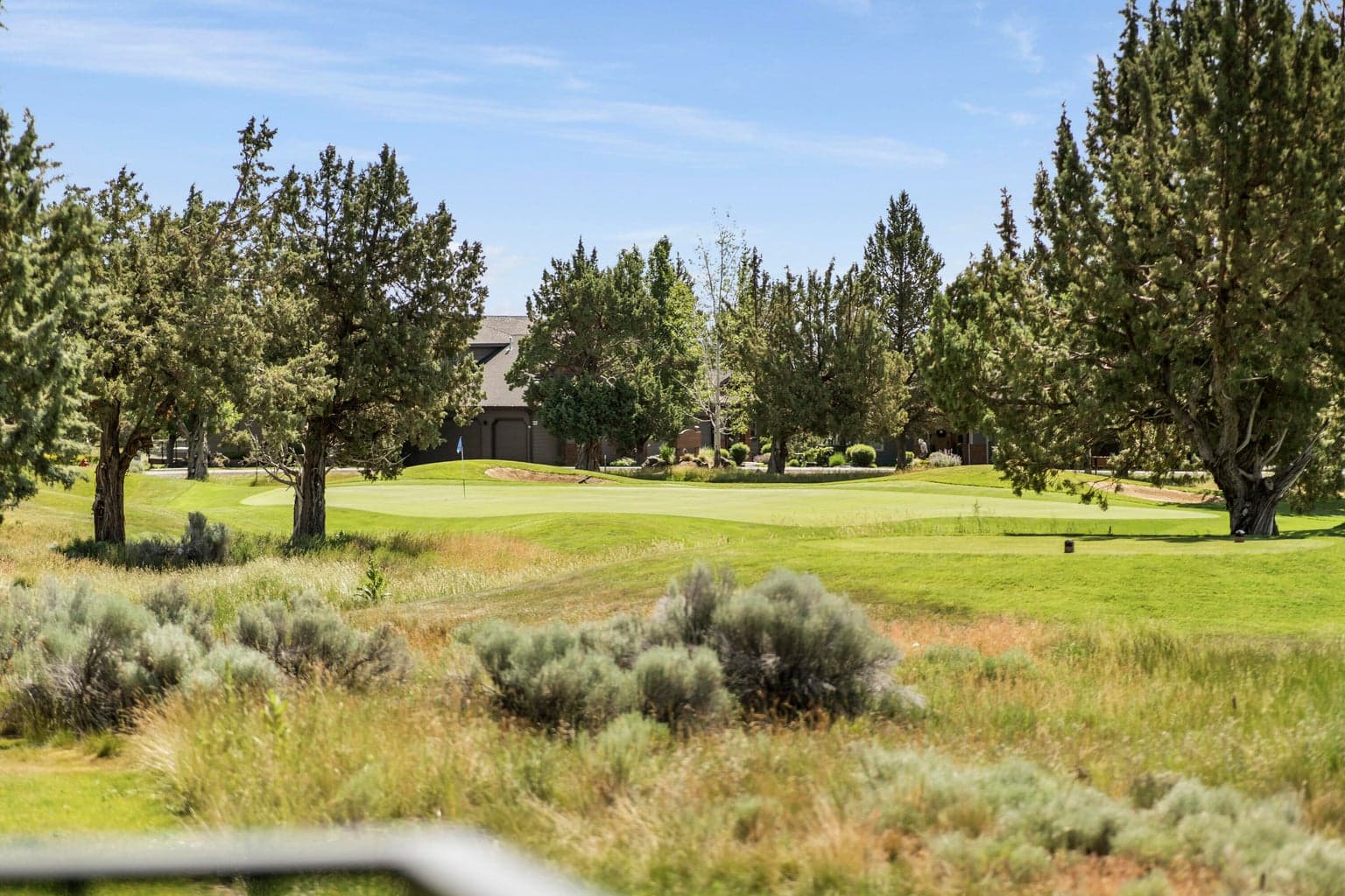 Photo of 1825 Cinnamon Teal Drive 10 of 77