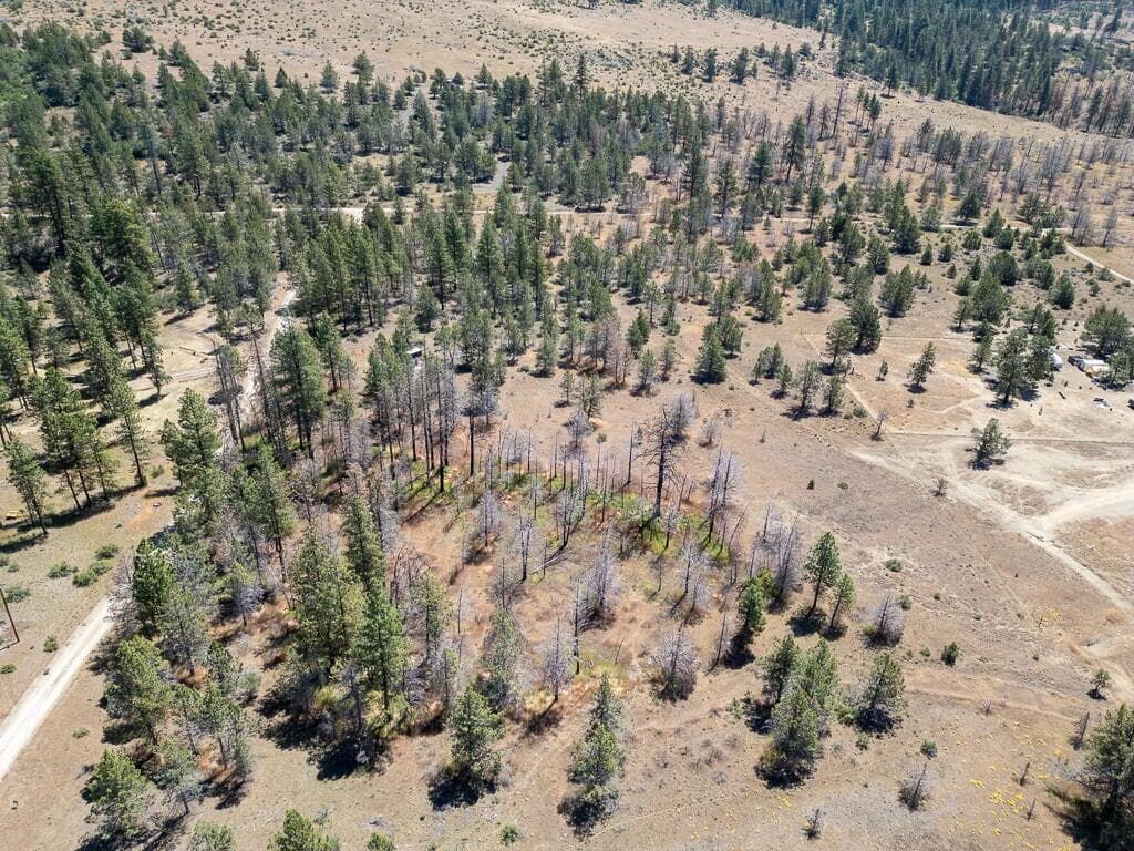 Photo of Panther Lane, Lot 6 3 of 10