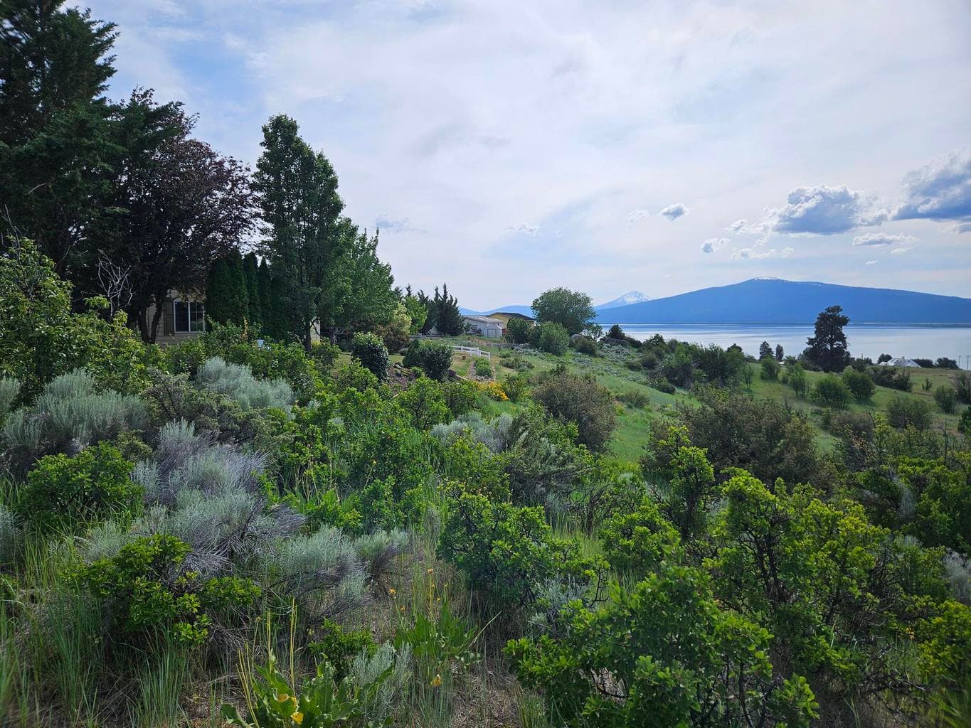 Photo of 0 Pleasant View 2 of 15
