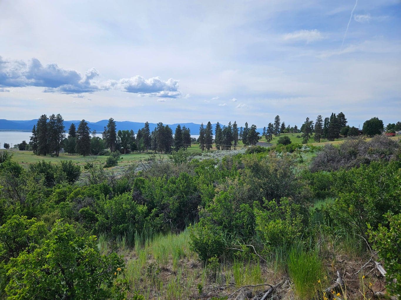 Photo of 0 Pleasant View 3 of 15
