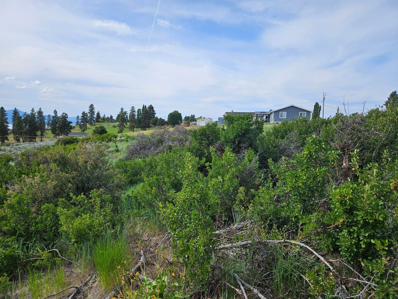 view from down the slope up to the road