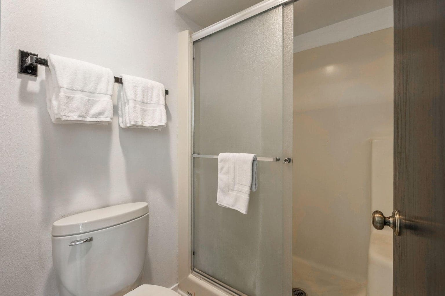 Primary Shower