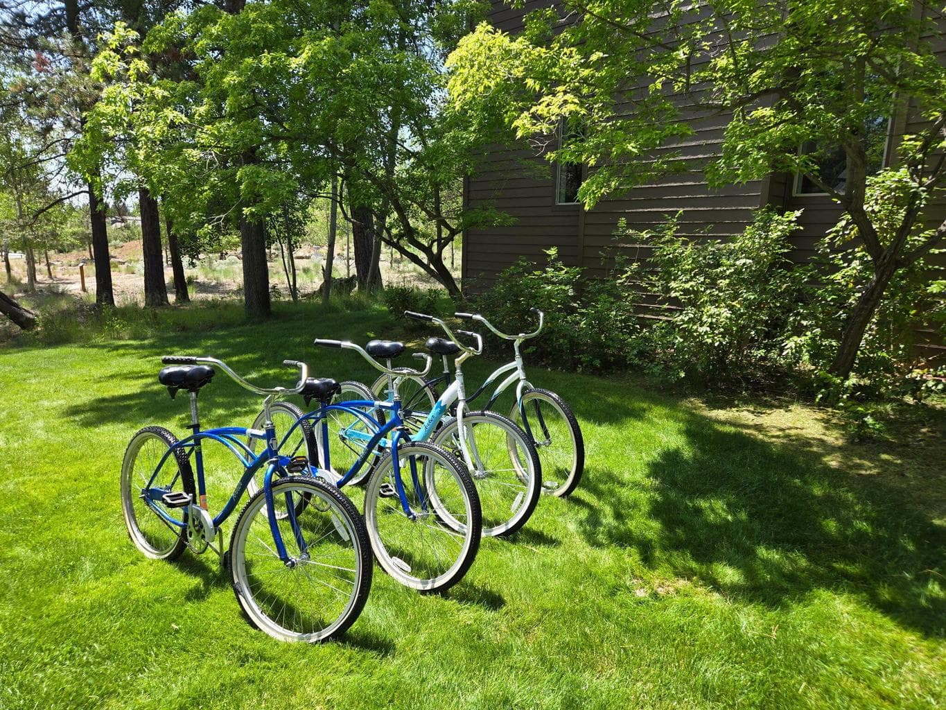 Bicycles Included with Unit#3
