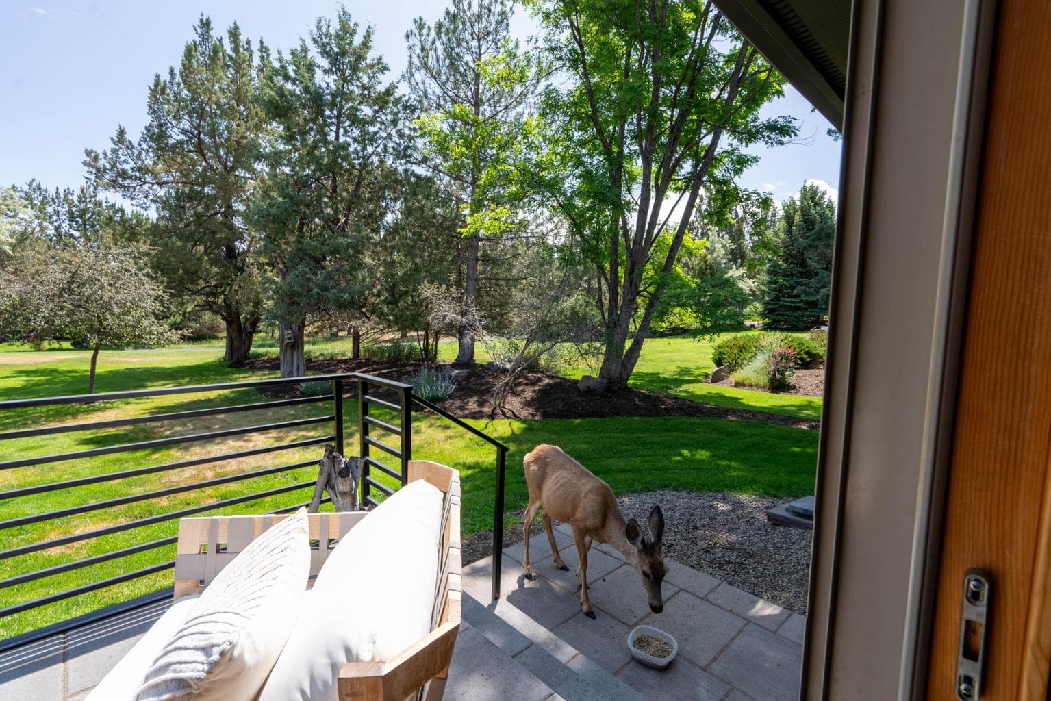 Photo of 2296 Condor Drive 30 of 51
