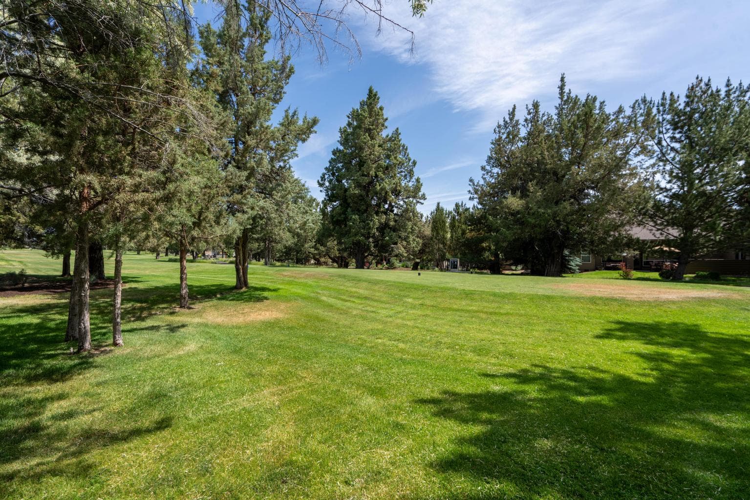 Photo of 2296 Condor Drive 39 of 51