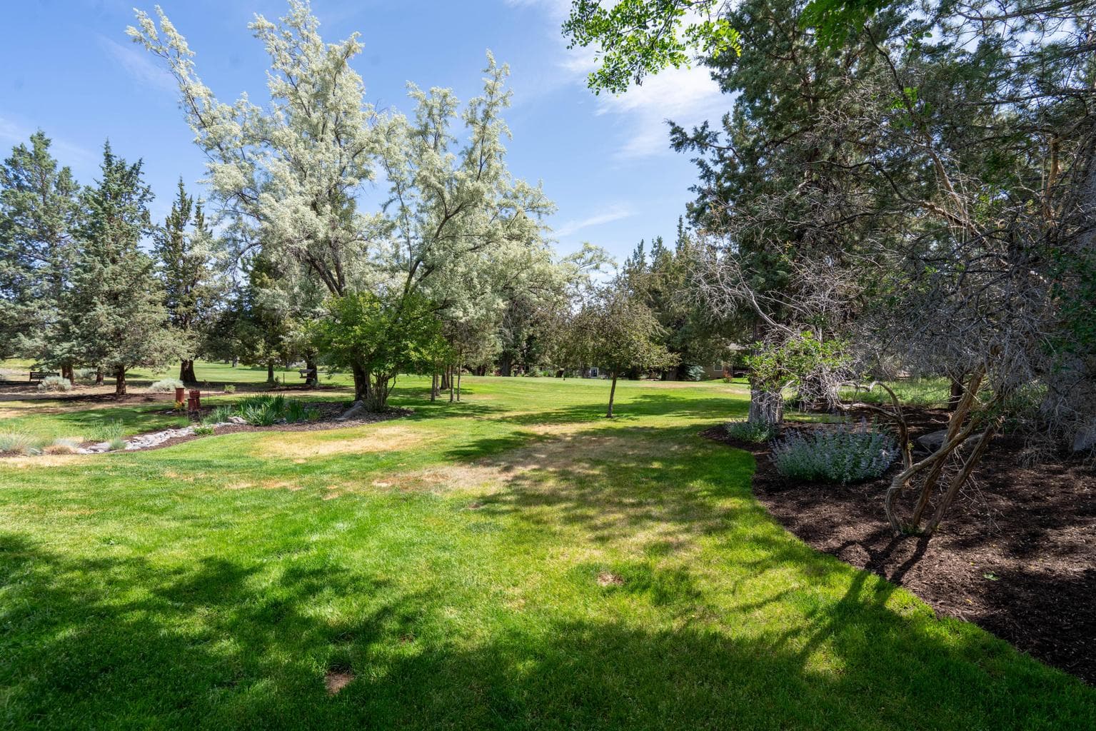 Photo of 2296 Condor Drive 40 of 51