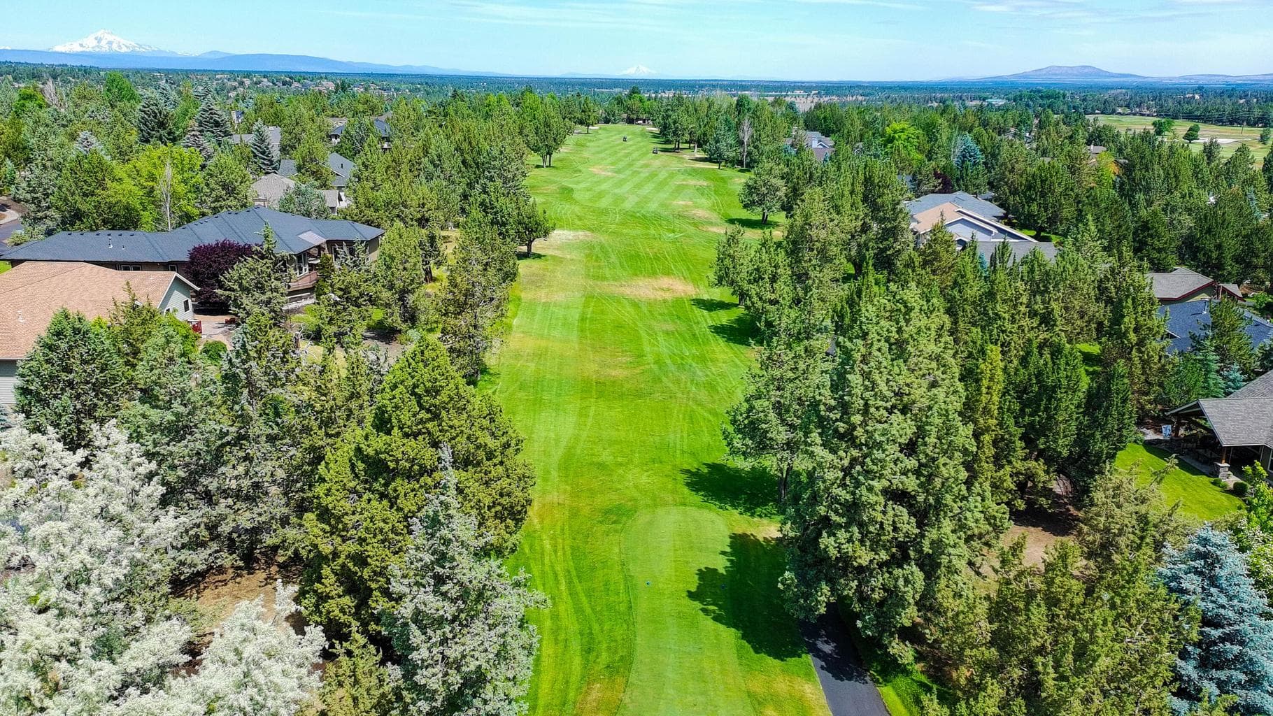 Photo of 2296 Condor Drive 49 of 51