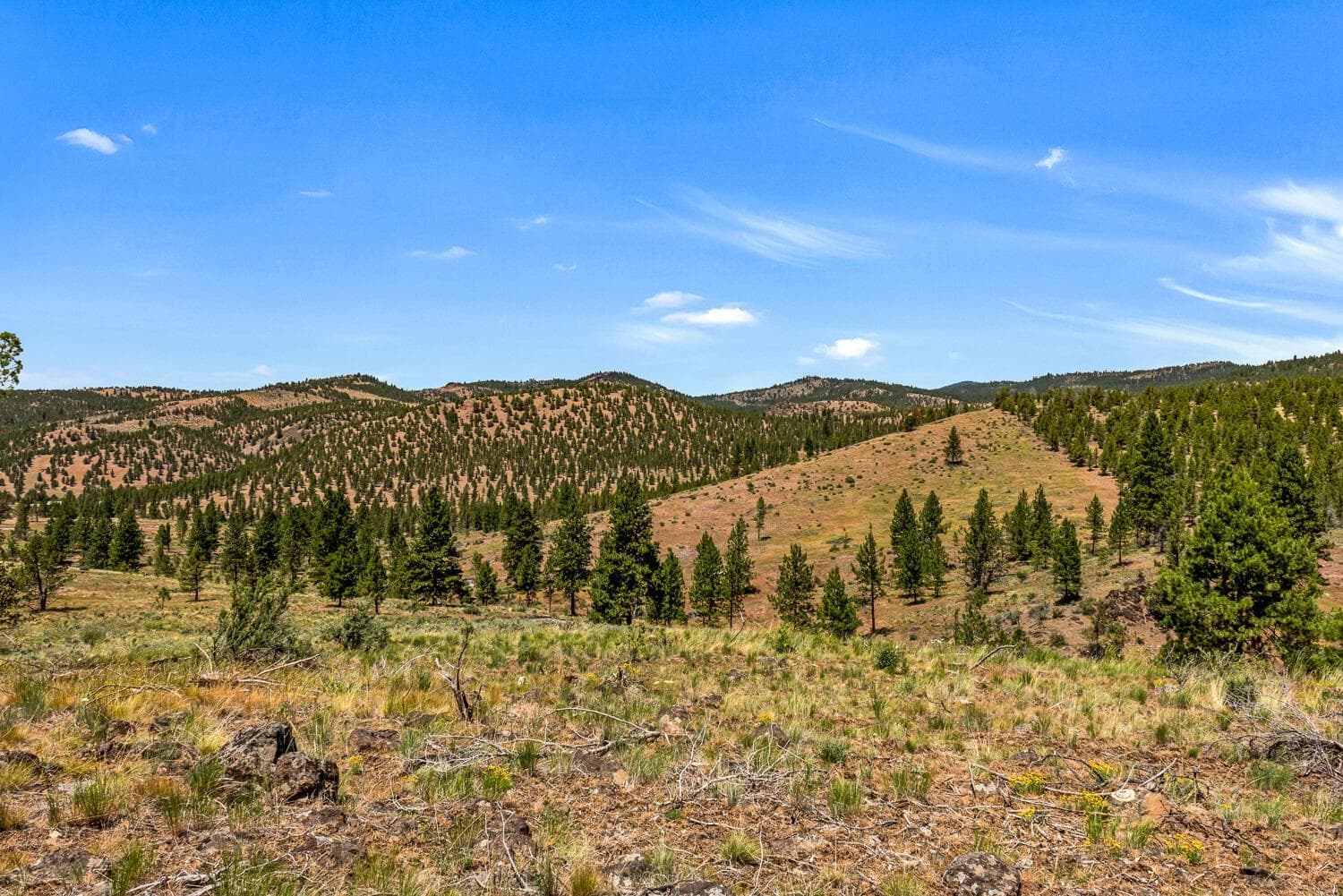 Photo of 9988 NE Cody Ridge Road 41 of 49