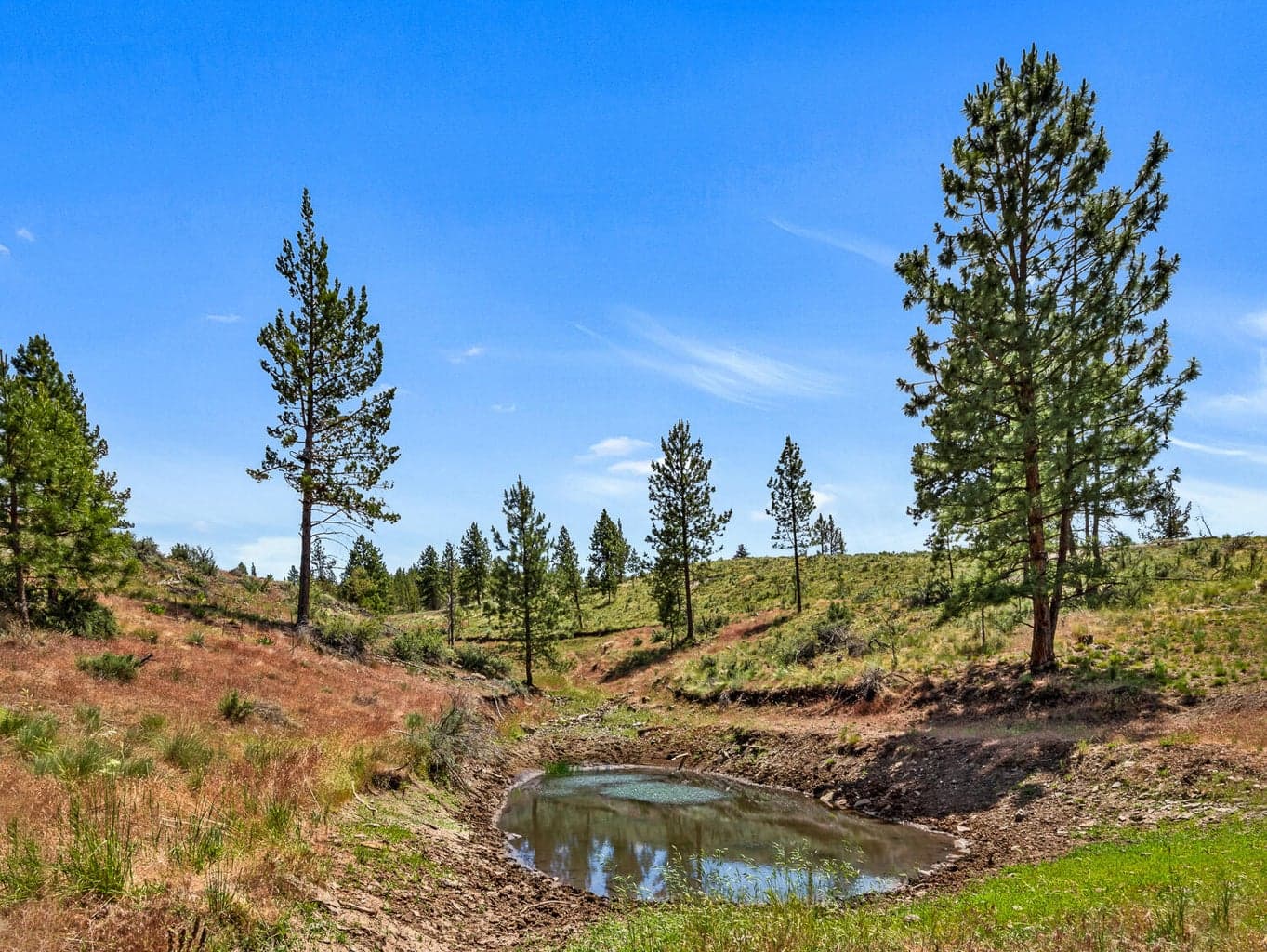 Photo of 9988 NE Cody Ridge Road 42 of 49