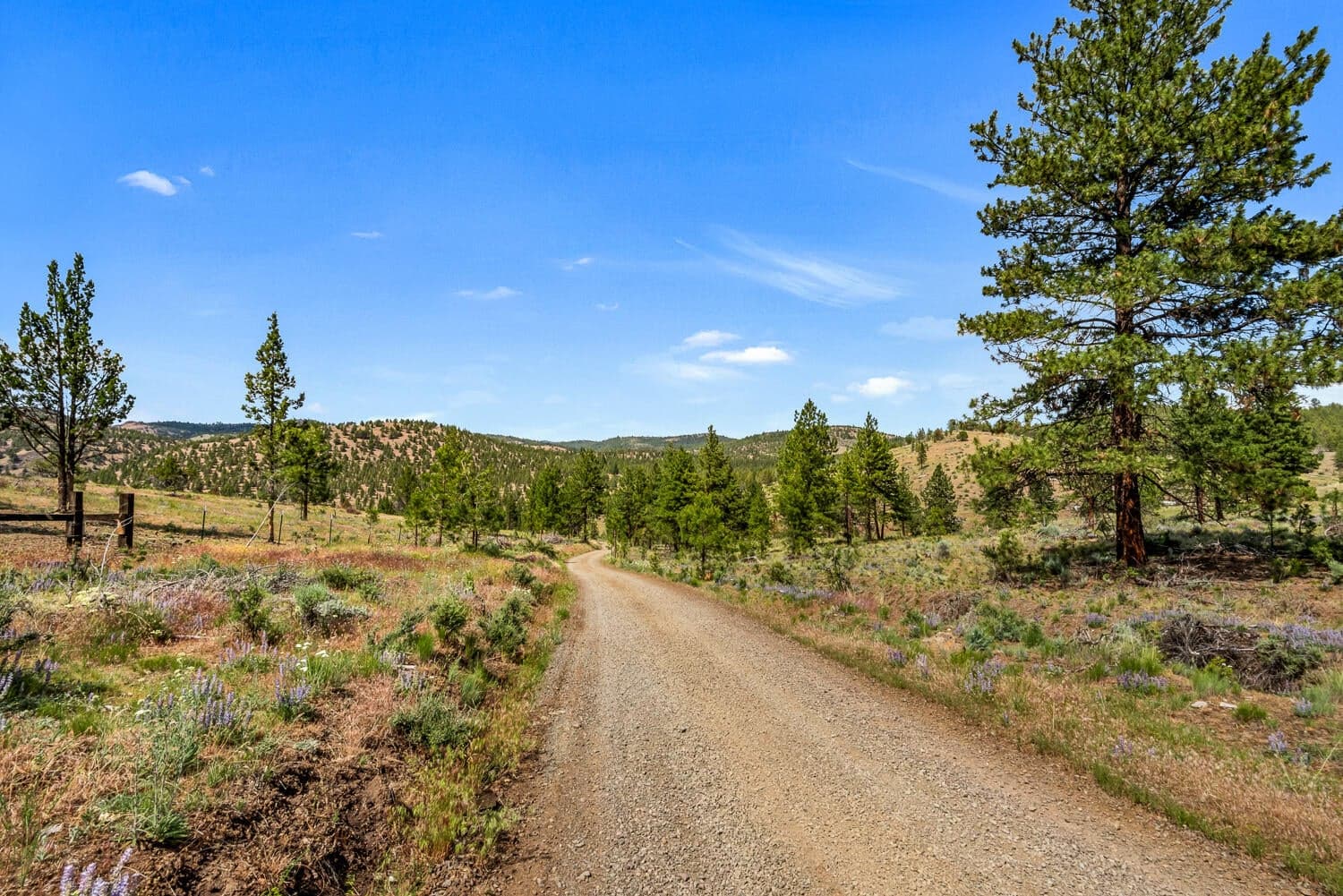Photo of 9988 NE Cody Ridge Road 43 of 49